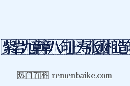 紫岩九章章八句上寿张丞相造句是什么意思的图片